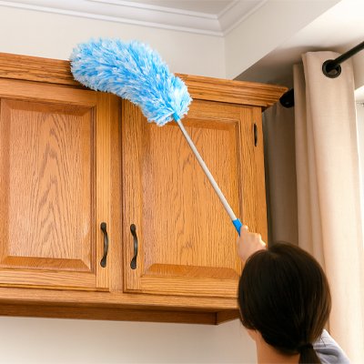 Plumeau pour nettoyer les meubles