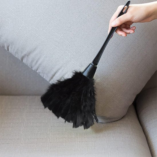 plumeau pour poussière