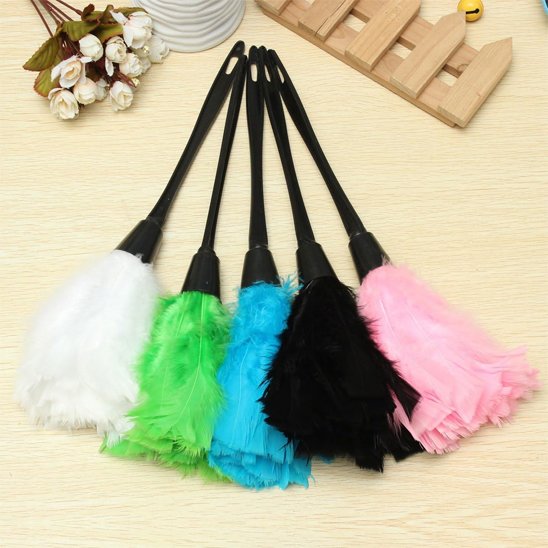 plumeau pour poussière