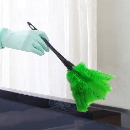 plumeau pour poussière