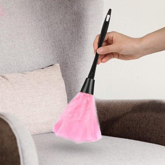 plumeau pour poussière
