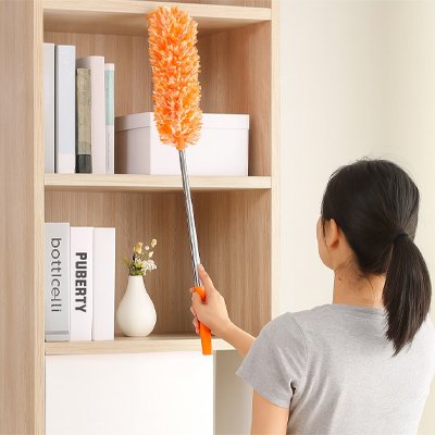 Plumeau utile pour nettoyer livre